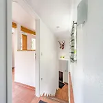 Rustic With Garden In Germany Appartement