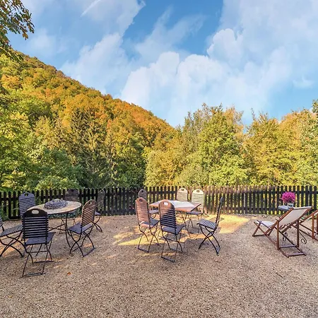 Rustic With Garden In Germany Apartment