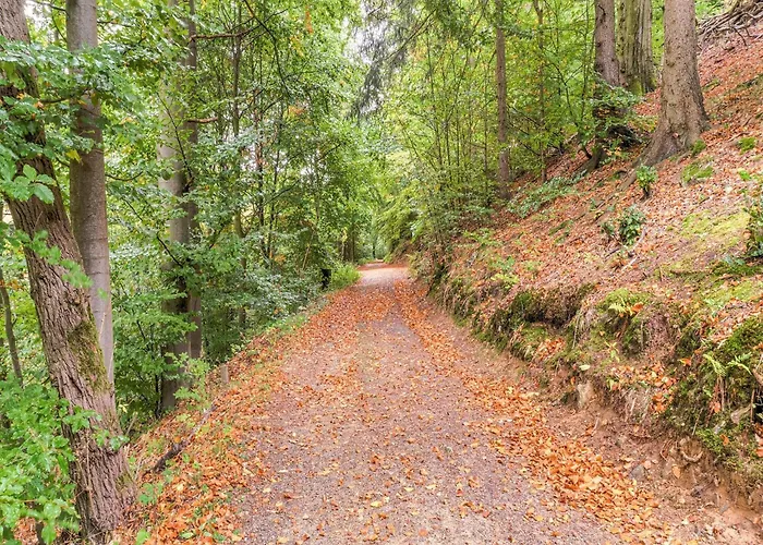 Rustic With Garden In Germany 公寓 *